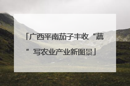 广西平南茄子丰收“蔬”写农业产业新图景