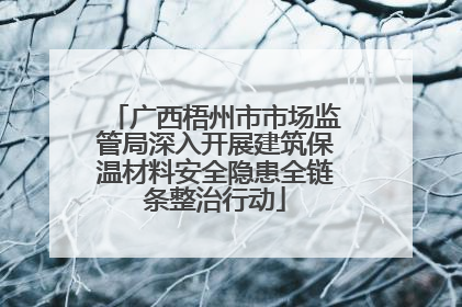 广西梧州市市场监管局深入开展建筑保温材料安全隐患全链条整治行动