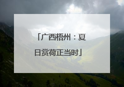 广西梧州：夏日赏荷正当时