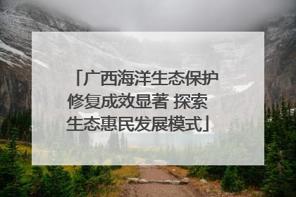 广西海洋生态保护修复成效显著 探索生态惠民发展模式