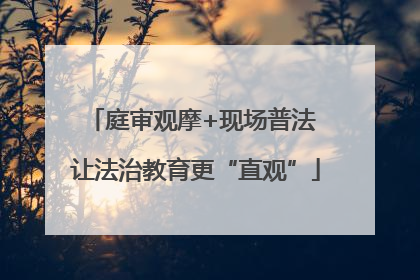 庭审观摩+现场普法 让法治教育更“直观”