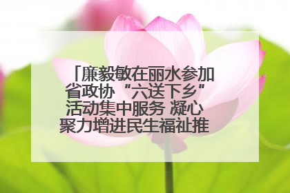 廉毅敏在丽水参加省政协“六送下乡”活动集中服务 凝心聚力增进民生福祉推进共同富裕
