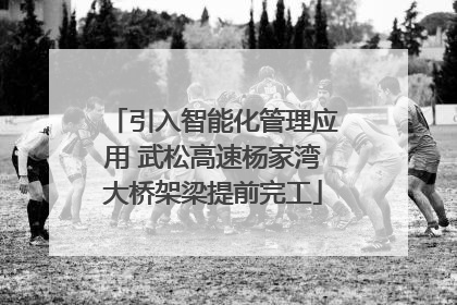 引入智能化管理应用 武松高速杨家湾大桥架梁提前完工