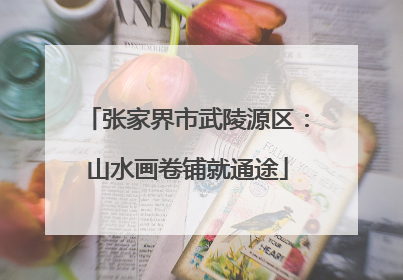 张家界市武陵源区：山水画卷铺就通途