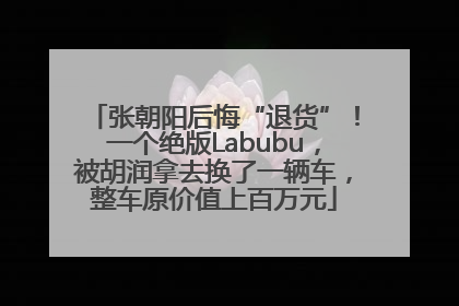 张朝阳后悔“退货”！一个绝版Labubu，被胡润拿去换了一辆车，整车原价值上百万元