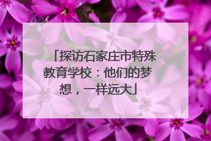 探访石家庄市特殊教育学校：他们的梦想，一样远大