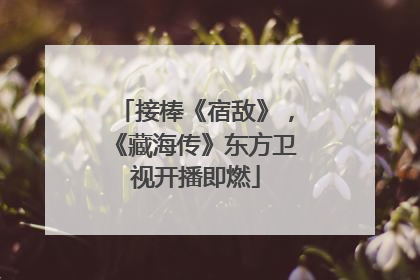 接棒《宿敌》，《藏海传》东方卫视开播即燃