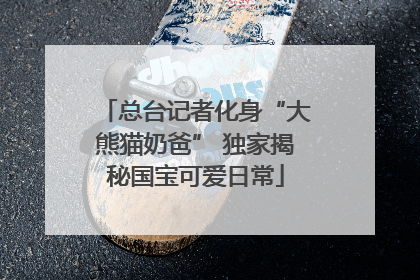 总台记者化身“大熊猫奶爸” 独家揭秘国宝可爱日常