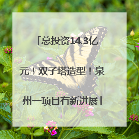 总投资14.3亿元！双子塔造型！泉州一项目有新进展