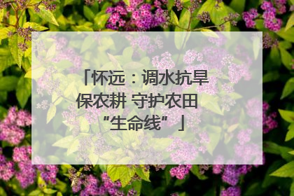 怀远：调水抗旱保农耕 守护农田 “生命线”
