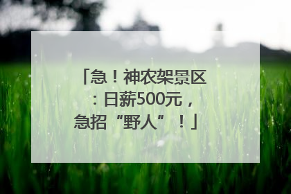 急！神农架景区：日薪500元，急招“野人”！