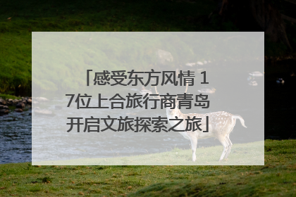 感受东方风情 17位上合旅行商青岛开启文旅探索之旅