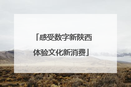 感受数字新陕西 体验文化新消费