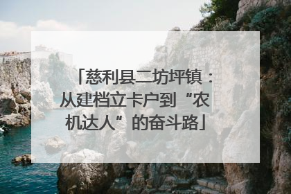 慈利县二坊坪镇：从建档立卡户到“农机达人”的奋斗路