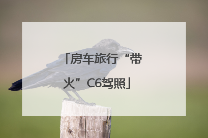 房车旅行“带火”C6驾照