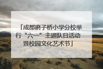 成都磨子桥小学分校举行“六一”主题队日活动暨校园文化艺术节