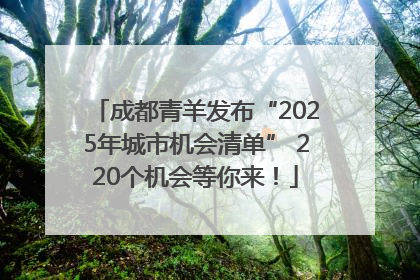 成都青羊发布“2025年城市机会清单” 220个机会等你来！