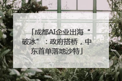 成都AI企业出海“破冰”：政府搭桥，中东首单落地沙特