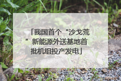 我国首个“沙戈荒”新能源外送基地首批机组投产发电