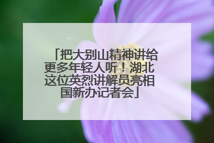 把大别山精神讲给更多年轻人听！湖北这位英烈讲解员亮相国新办记者会
