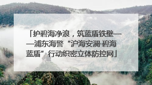 护碧海净浪，筑蓝盾铁壁——浦东海警“沪海安澜·碧海蓝盾”行动织密立体防控网