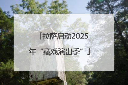 拉萨启动2025年“藏戏演出季”