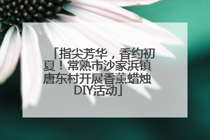 指尖芳华，香约初夏！常熟市沙家浜镇唐东村开展香薰蜡烛DIY活动