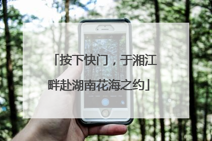 按下快门，于湘江畔赴湖南花海之约