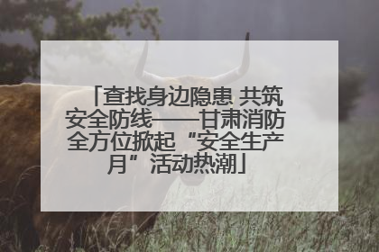 查找身边隐患 共筑安全防线——甘肃消防全方位掀起“安全生产月”活动热潮
