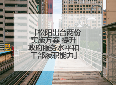松阳出台两份实施方案 提升政府服务水平和干部履职能力