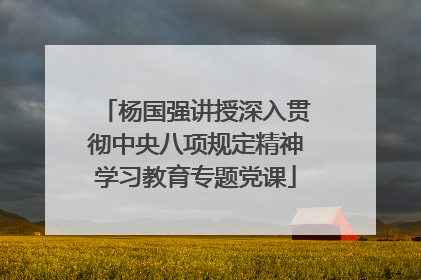 杨国强讲授深入贯彻中央八项规定精神学习教育专题党课