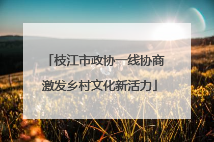 枝江市政协一线协商激发乡村文化新活力