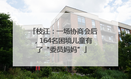 枝江：一场协商会后，164名困境儿童有了“委员妈妈”