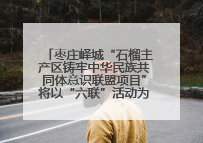枣庄峄城“石榴主产区铸牢中华民族共同体意识联盟项目”将以“六联”活动为抓手深化品牌建设