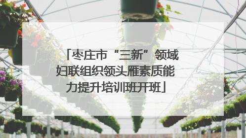 枣庄市“三新”领域妇联组织领头雁素质能力提升培训班开班