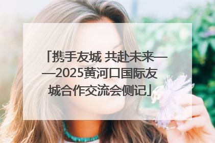 携手友城 共赴未来——2025黄河口国际友城合作交流会侧记