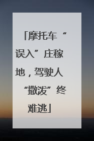 摩托车“误入”庄稼地，驾驶人“撒泼”终难逃