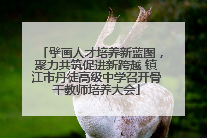 擘画人才培养新蓝图，聚力共筑促进新跨越 镇江市丹徒高级中学召开骨干教师培养大会
