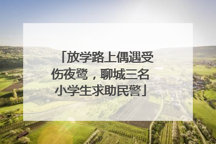 放学路上偶遇受伤夜鹭，聊城三名小学生求助民警