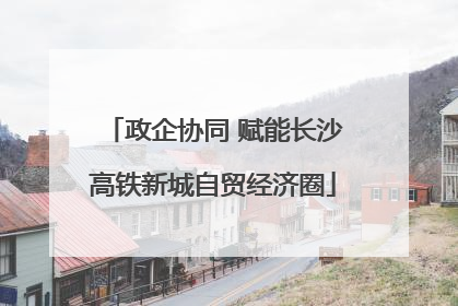政企协同 赋能长沙高铁新城自贸经济圈