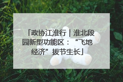 政协江淮行｜淮北段园新型功能区：“飞地经济”拔节生长