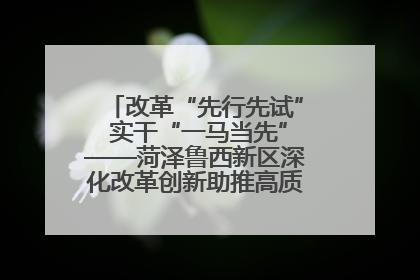改革“先行先试” 实干“一马当先”——菏泽鲁西新区深化改革创新助推高质量发展纪实