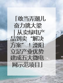 敢当弄潮儿 奋力挑大梁｜从卖绿电产品到卖“解决方案”！溧阳立足产业优势建成五大微电网示范项目