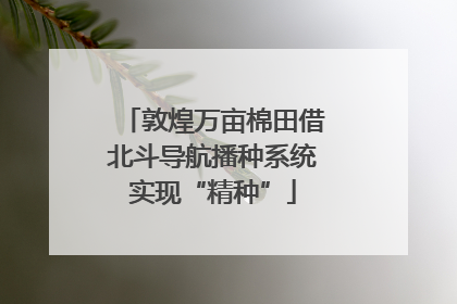 敦煌万亩棉田借北斗导航播种系统实现“精种”