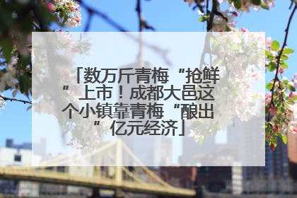 数万斤青梅“抢鲜”上市！成都大邑这个小镇靠青梅“酿出”亿元经济