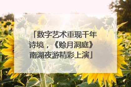 数字艺术重现千年诗境，《赊月洞庭》南湖夜游精彩上演