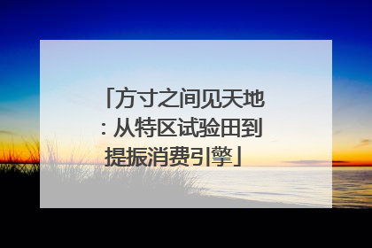 方寸之间见天地：从特区试验田到提振消费引擎