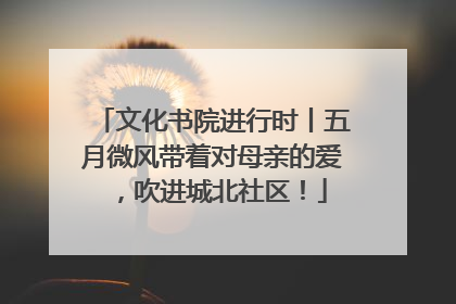 文化书院进行时丨五月微风带着对母亲的爱，吹进城北社区！
