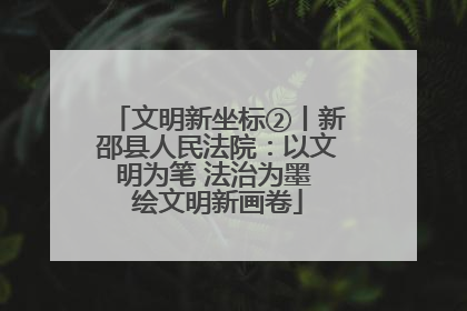 文明新坐标②丨新邵县人民法院：以文明为笔 法治为墨 绘文明新画卷