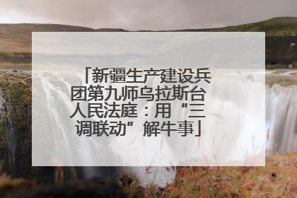 新疆生产建设兵团第九师乌拉斯台人民法庭：用“三调联动”解牛事